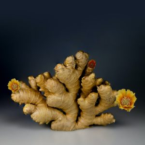 Ginger roots on a grey surface